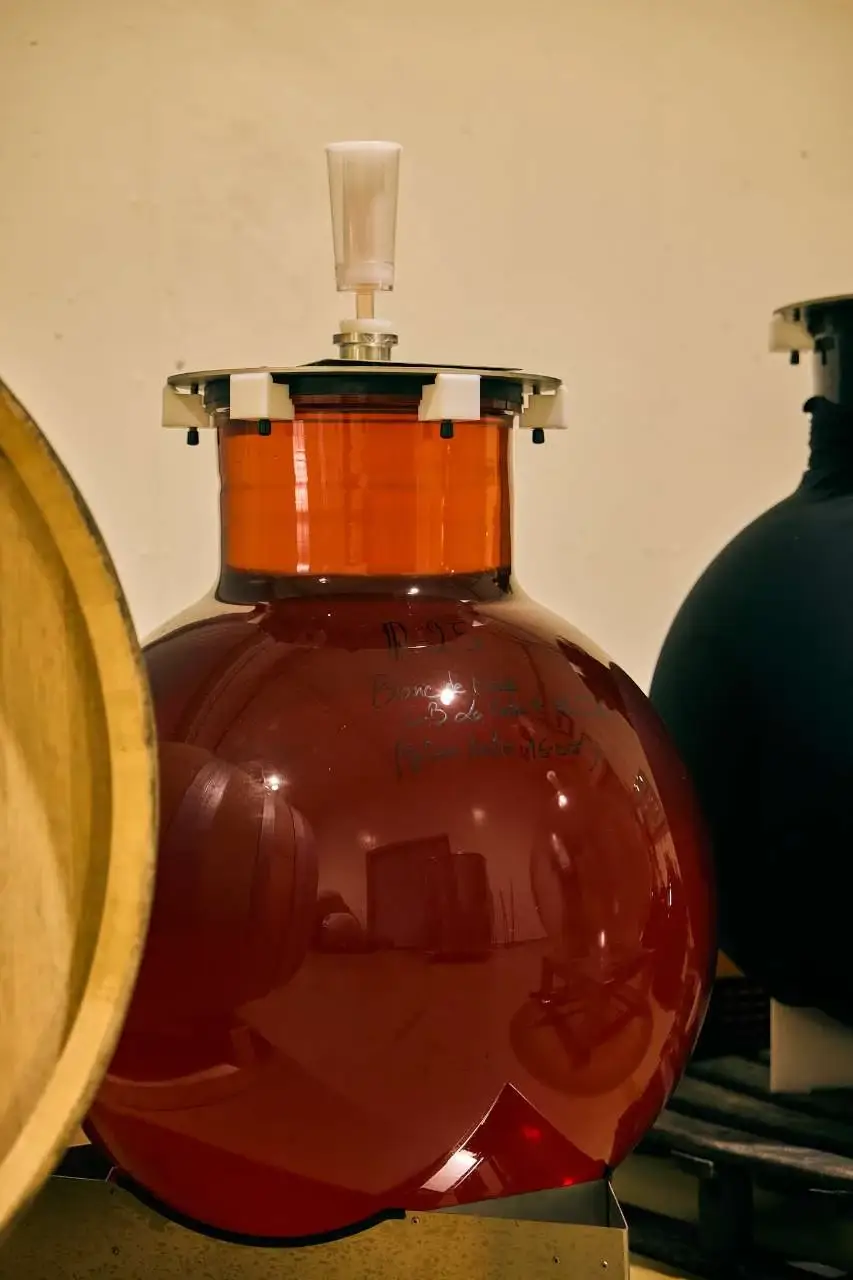 Catando vinos de Ibiza en la bodega de Ibizkus
