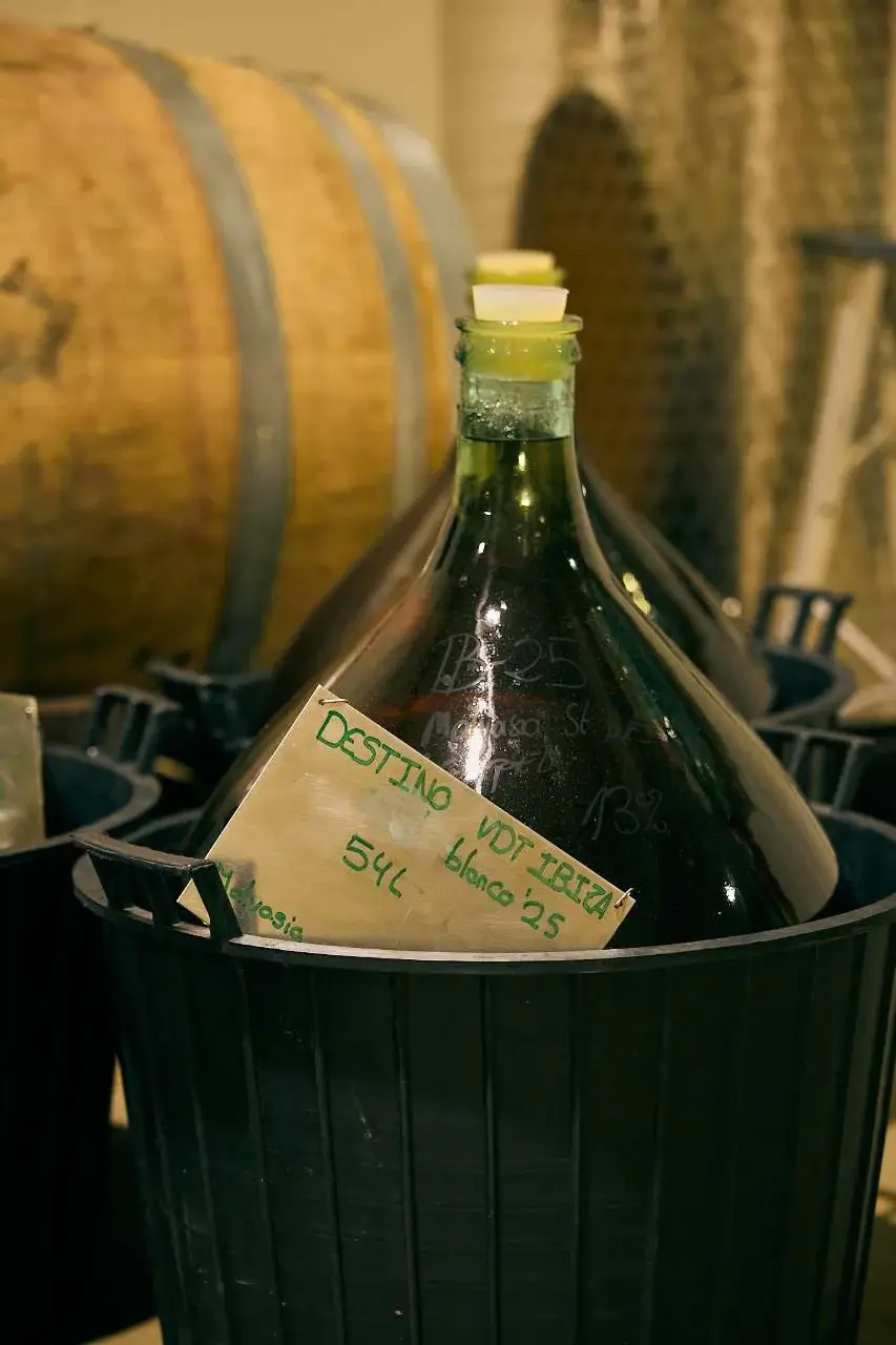 Catando vinos de Ibiza en la bodega de Ibizkus