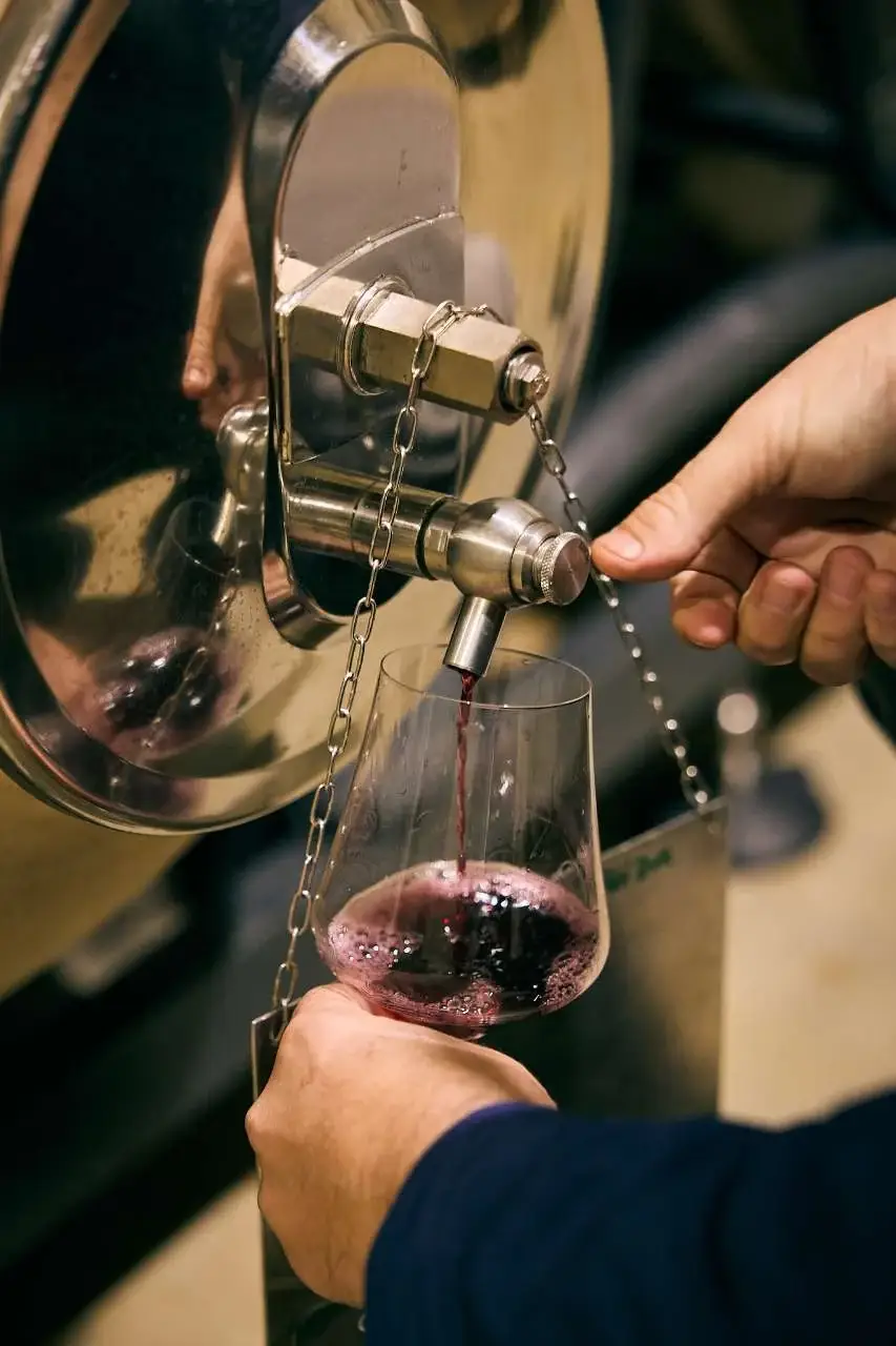 Catando vinos de Ibiza en la bodega de Ibizkus