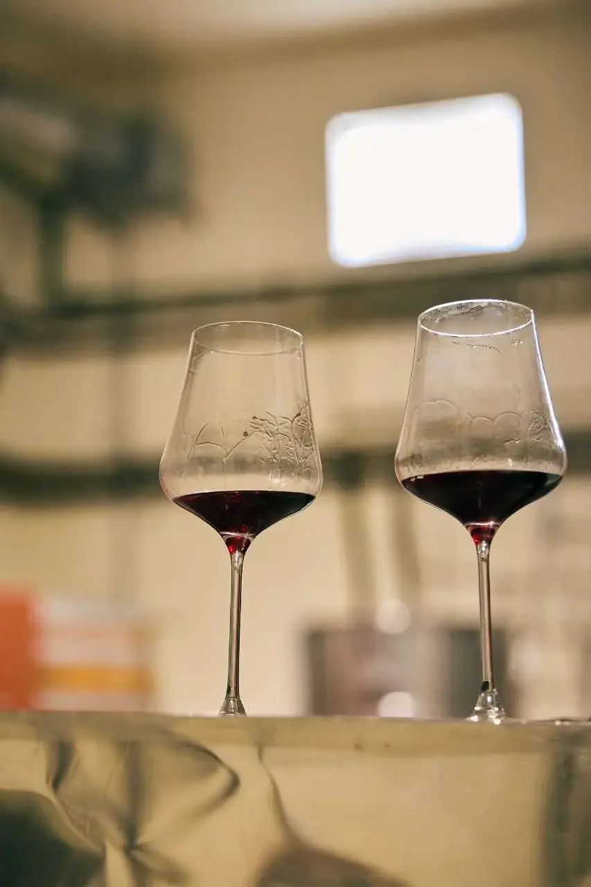 Unas copas de Ibizkus tinto que catamos directamente de los depósitos en Ibizkus, con David Lorenzo, el director técnico