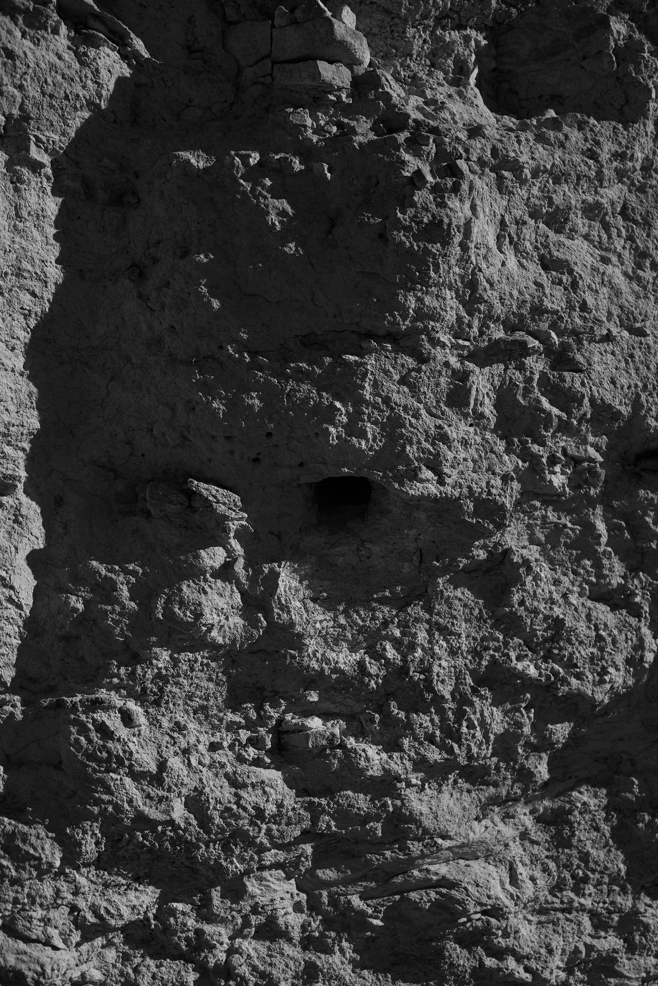 Close-up of a bird nest tunnel in a stone and earth wall that Peter Lehner preserves to let local wildlife live undisturbed