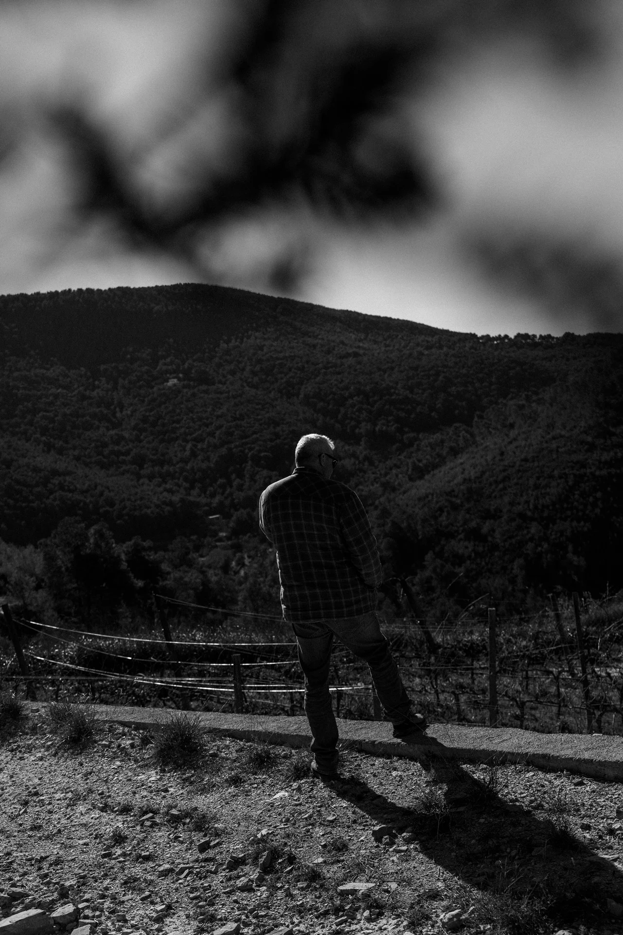 Black and white photograph of Peter Lehner standing at the edge of his estate, looking across the vast forested mountain landscape surrounding Blacknose Ibiza.